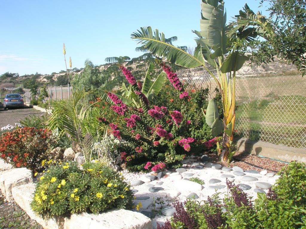 Paradise Traditional House Maroni Extérieur photo